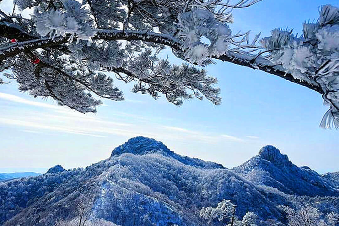 2025云蒙森林冰雪季即将官宣，奔赴一场冬日冰雪之约！